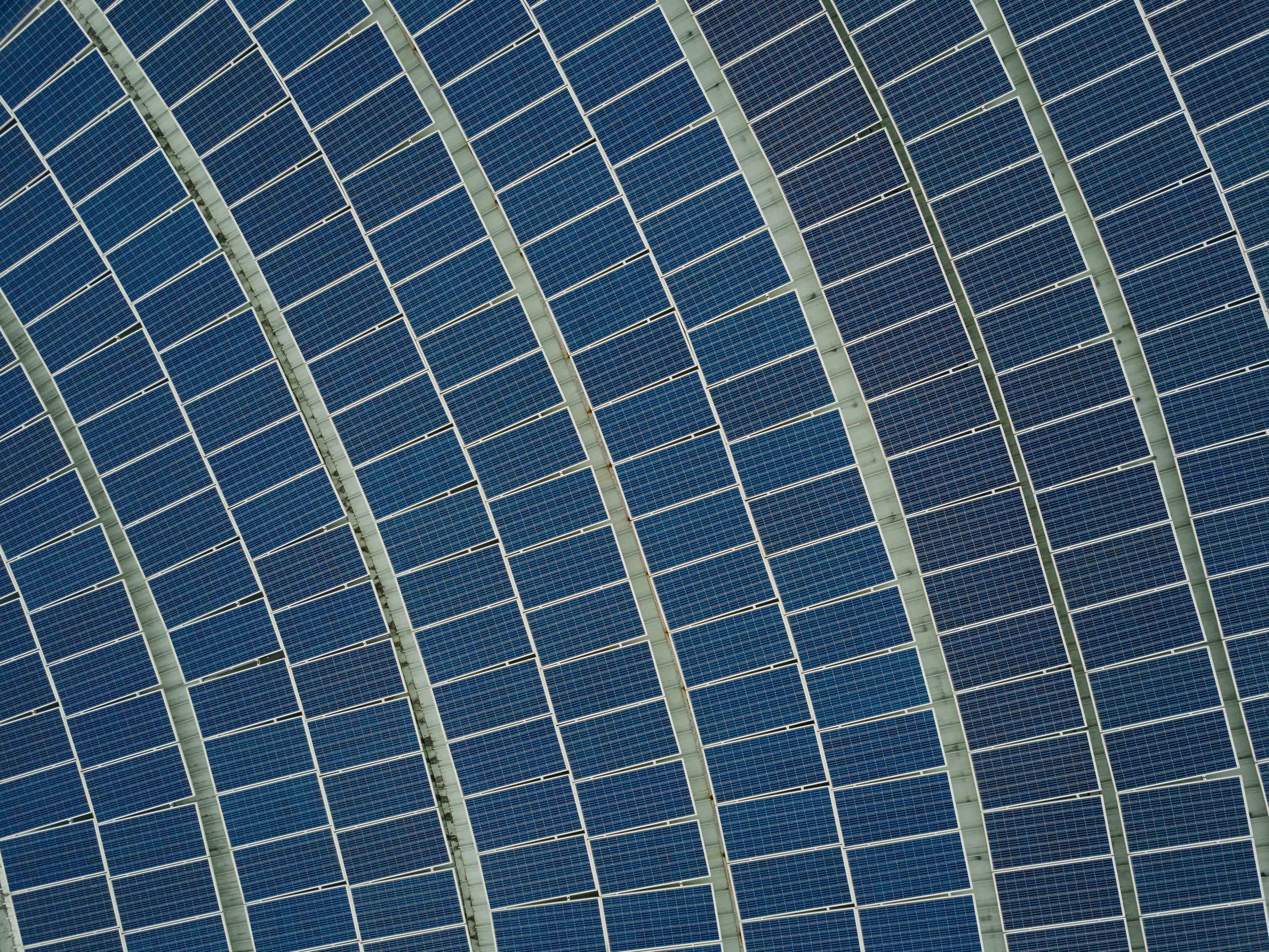 sustainability & eco-friendly sustainability & eco-friendly